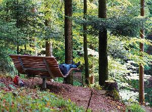 „Shinrin Yoku“ - Waldbaden