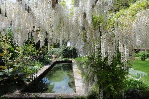 Garten Herrenmühle Bleichheim im Mai