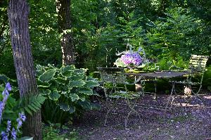 Garten der Herrenmühle Bleichheim im August