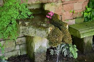 Garten Herrenmühle Bleichheim im September