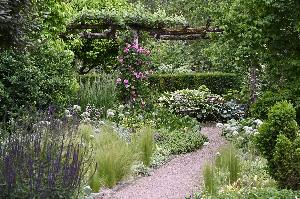Garten Herrenmühle im Juni